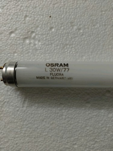 Osram 2pz neon flora - 2pz,