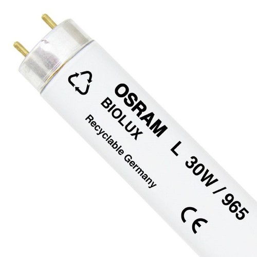 Neon osram lumilux biolux - osram,