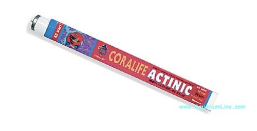 Coralife neon actinic 30w - t8,